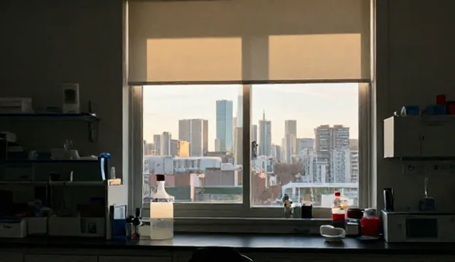 技术支持使用方法对系统稳定性的具体影响